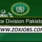 Finance Division Jobs