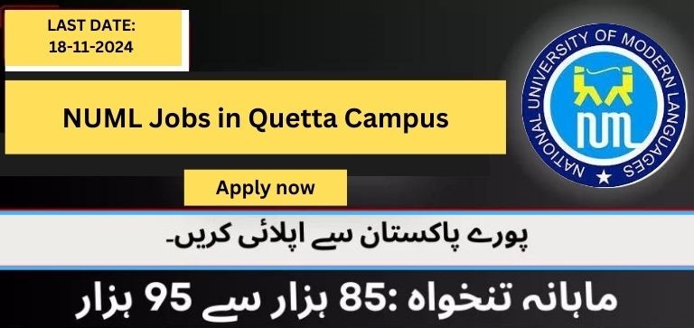 NUML Quetta Jobs